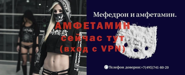 дмт Абаза