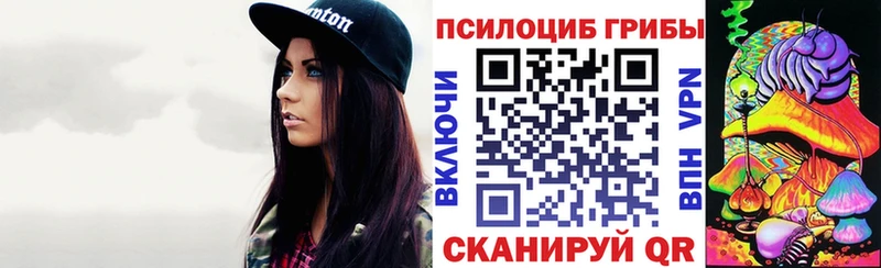 Галлюциногенные грибы Psilocybe  MEGA вход  Дрезна 